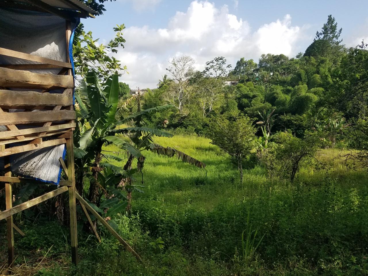 Charming-Split-Level-Home-with-Land-for-Sale-in-Coleyville-Jamaica Tenth image of Coleyville in Coleyville, Manchester, Jamaica - property is For Sale