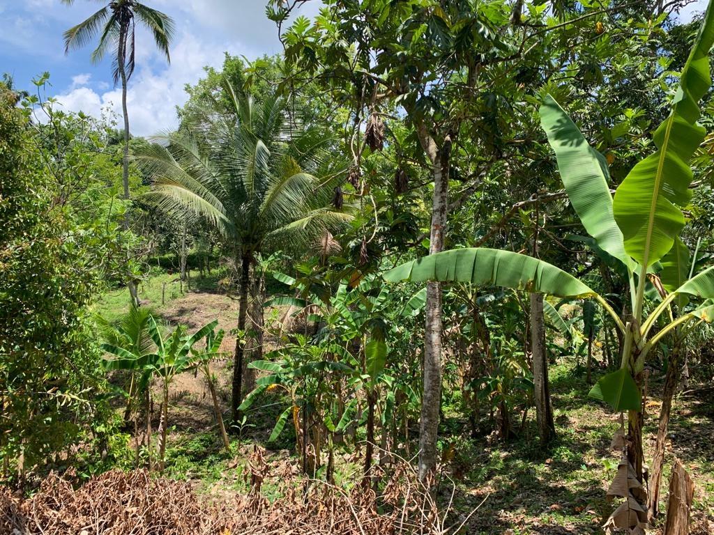 Ninth image of Hyman Street in Ashley, Clarendon, Jamaica - property is For Sale