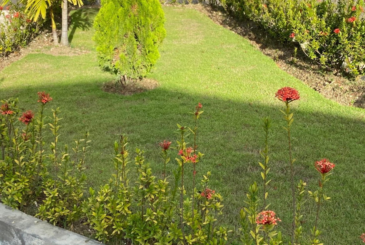 Twenty-Fifth image of 816 Richmond Estate in Laughlands, St. Ann, Jamaica - property is For Rent