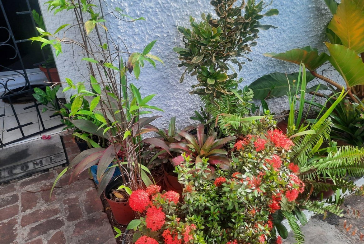 Twelfth image of 4- East Kings House Road in Kingston 6, St. Andrew, Jamaica - property is For Sale