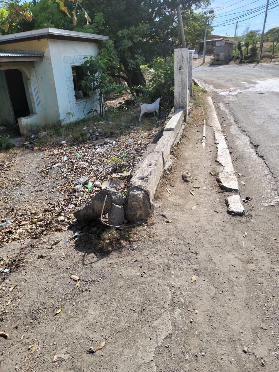 Fourth image of Part of White Horses in Yallahs, St. Thomas, Jamaica - property is For Sale