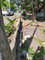 First image of Part of White Horses in Yallahs, St. Thomas, Jamaica - property is For Sale