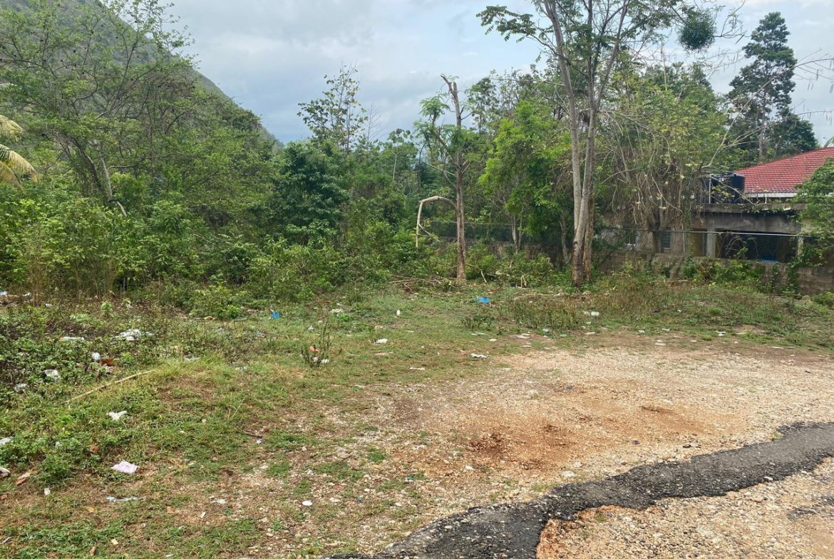 Ninth image of Clarks Town in Clarks Town, Manchester, Jamaica - property is For Sale