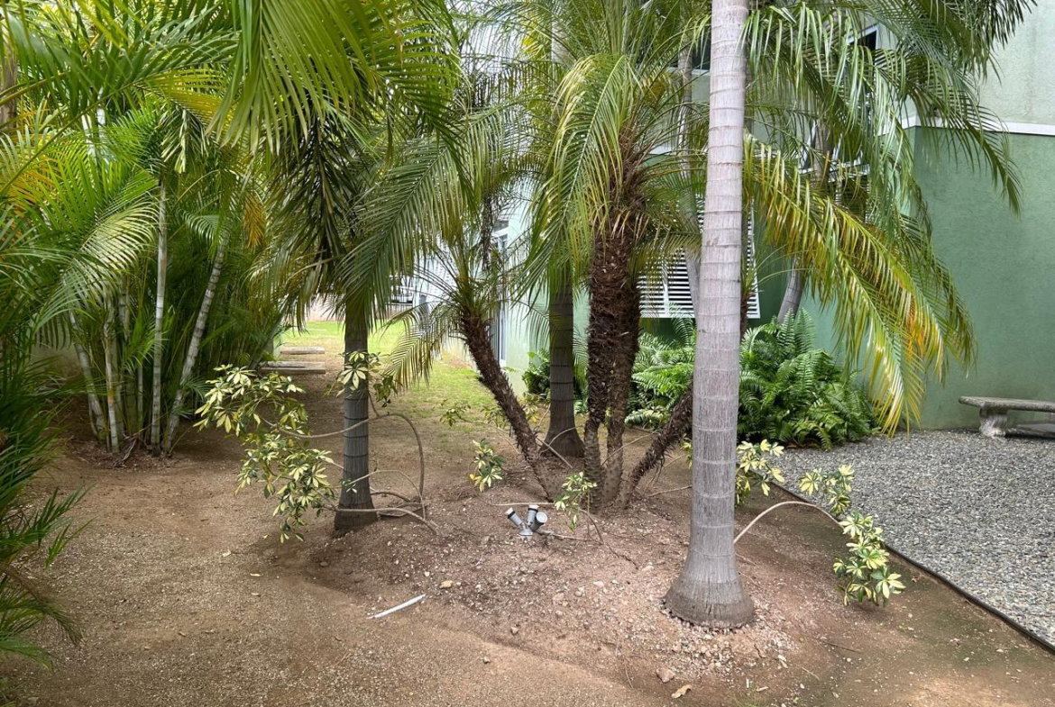 Twenty-Eighth image of Apt. 28-8 Kingsway in Kingston 10, St. Andrew, Jamaica - property is For Rent