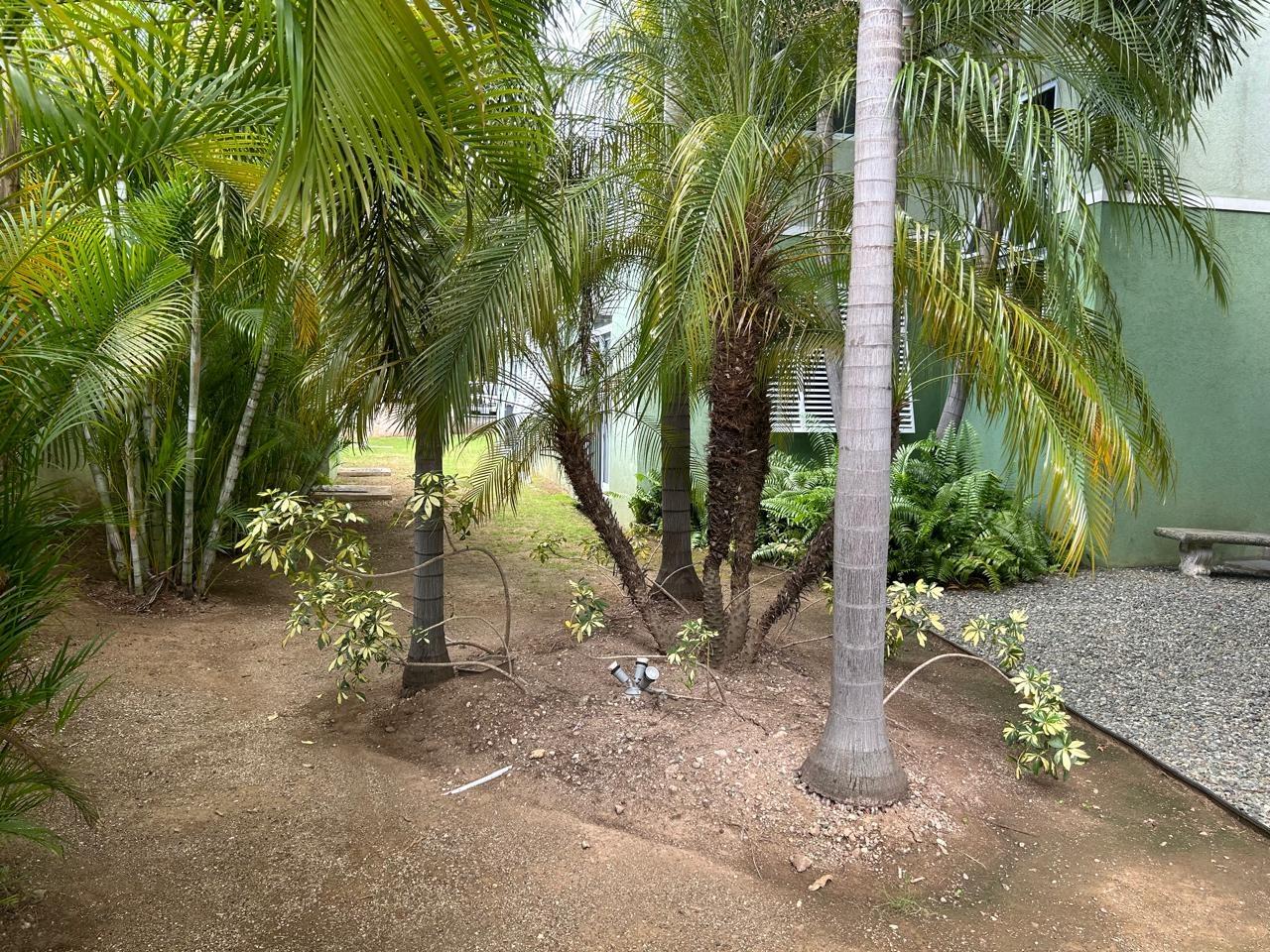 Twenty-Eighth image of Apt. 28-8 Kingsway in Kingston 10, St. Andrew, Jamaica - property is For Rent