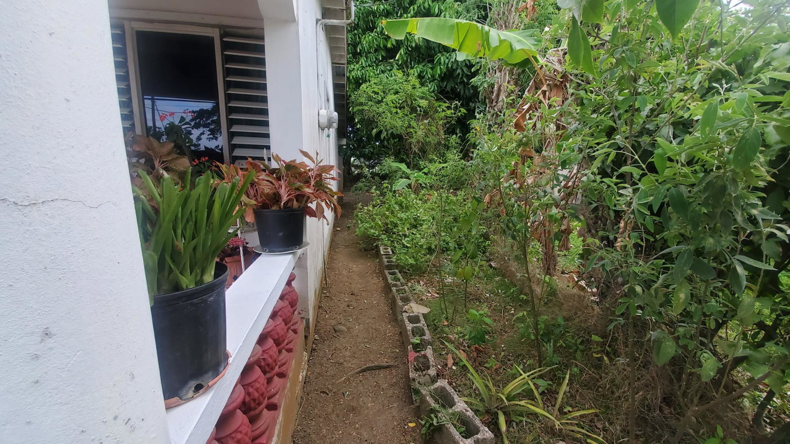 Chovey-Housing-Scheme-Home-for-Sale-2-Bedroom-House-in-Port-Morant-Jamaica Seventh image of Lot 43 Chovey Housing Scheme in Port Morant, St. Thomas, Jamaica - property is For Sale