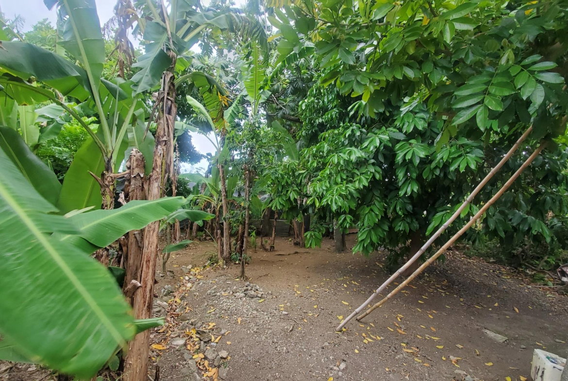 Eighth image of Lot 43 Chovey Housing Scheme in Port Morant, St. Thomas, Jamaica - property is For Sale