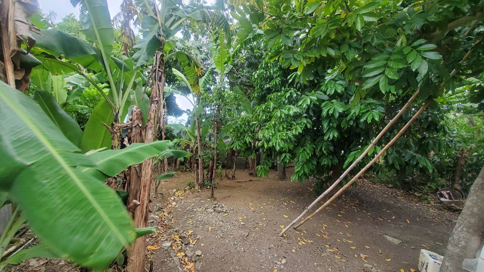 Chovey-Housing-Scheme-Home-for-Sale-2-Bedroom-House-in-Port-Morant-Jamaica Eighth image of Lot 43 Chovey Housing Scheme in Port Morant, St. Thomas, Jamaica - property is For Sale
