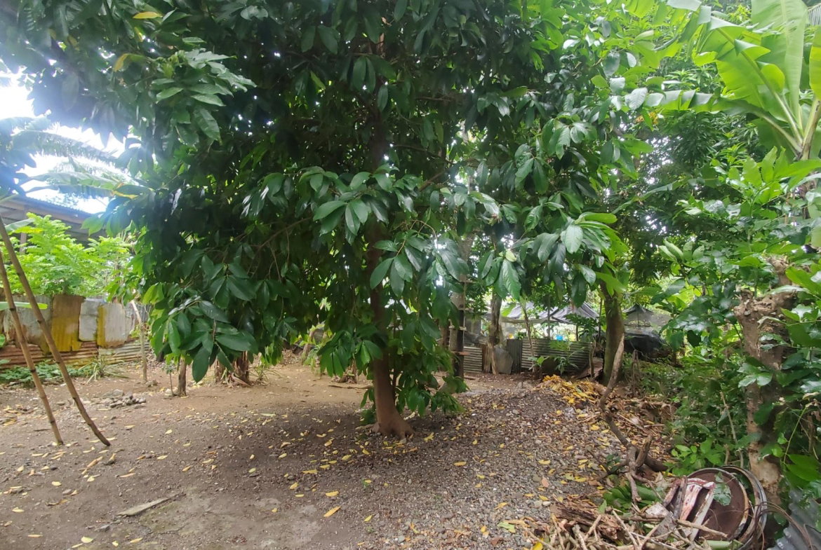 Ninth image of Lot 43 Chovey Housing Scheme in Port Morant, St. Thomas, Jamaica - property is For Sale