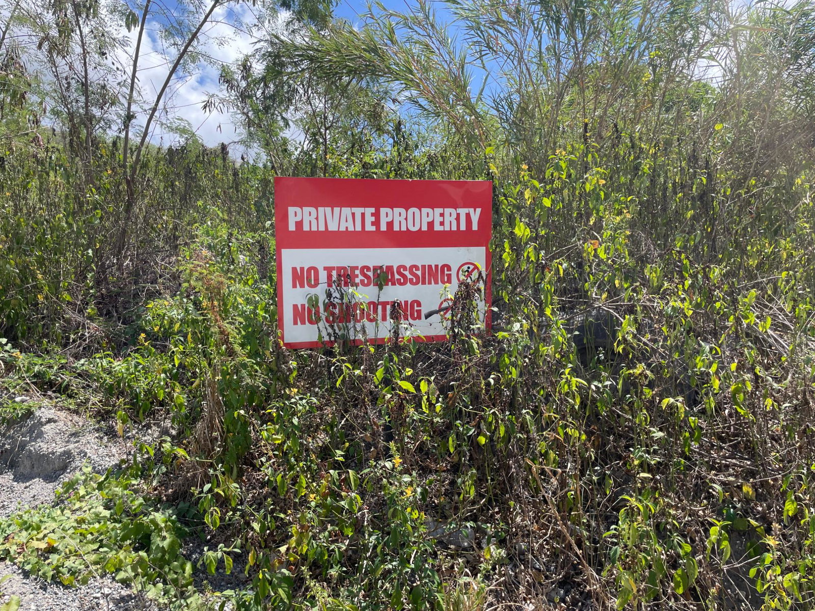 Eleventh image of Albion Heights in Spring Garden, St. Thomas, Jamaica - property is For Sale
