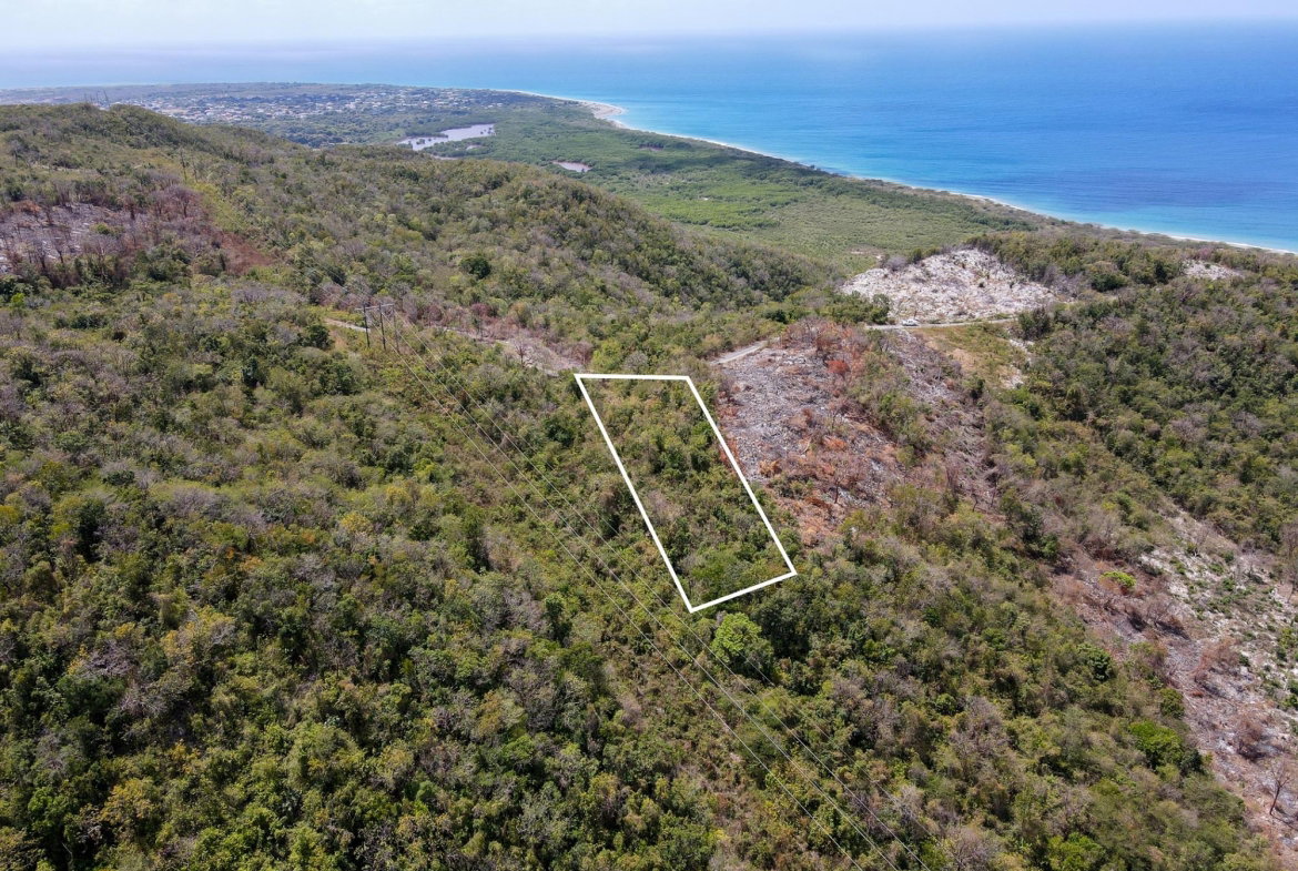 Third image of Albion Heights in Spring Garden, St. Thomas, Jamaica - property is For Sale