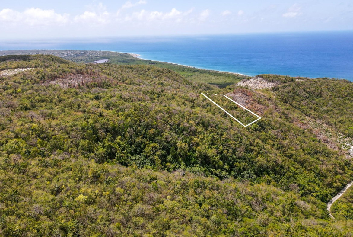 Fourth image of Albion Heights in Spring Garden, St. Thomas, Jamaica - property is For Sale