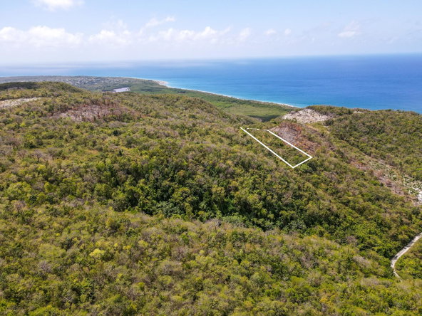 Fourth image of Albion Heights in Spring Garden, St. Thomas, Jamaica - property is For Sale