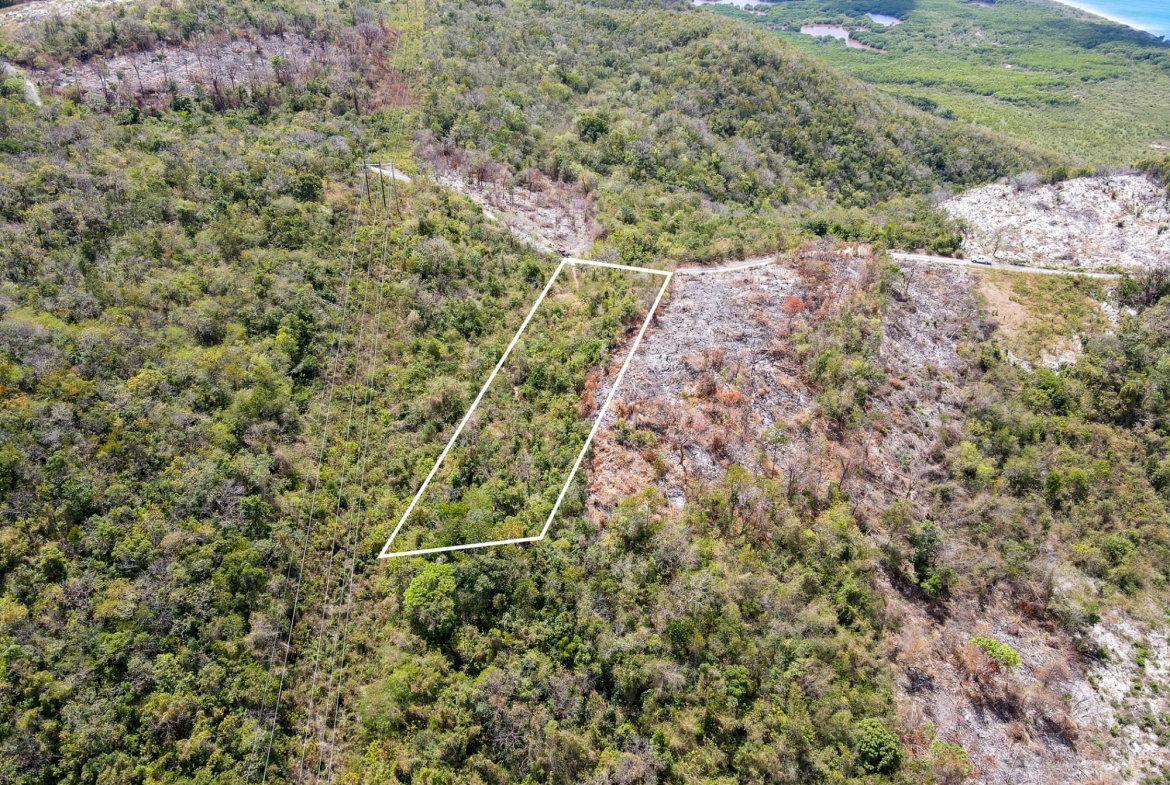 Seventh image of Albion Heights in Spring Garden, St. Thomas, Jamaica - property is For Sale