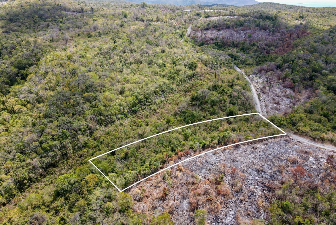 Eighth image of Albion Heights in Spring Garden, St. Thomas, Jamaica - property is For Sale