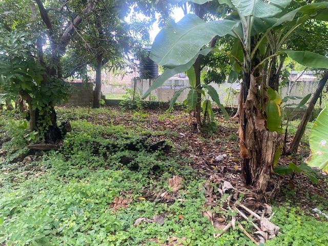 Second image of Hopewell District Hanover in Hopewell, Hanover, Jamaica - property is For Sale