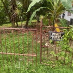 First image of Hopewell District Hanover in Hopewell, Hanover, Jamaica - property is For Sale