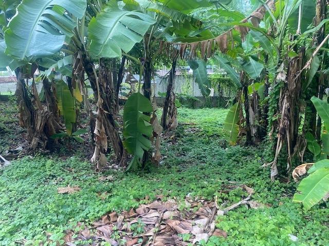 Third image of Hopewell District Hanover in Hopewell, Hanover, Jamaica - property is For Sale