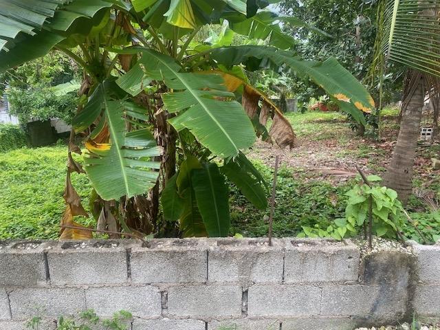 Fourth image of Hopewell District Hanover in Hopewell, Hanover, Jamaica - property is For Sale