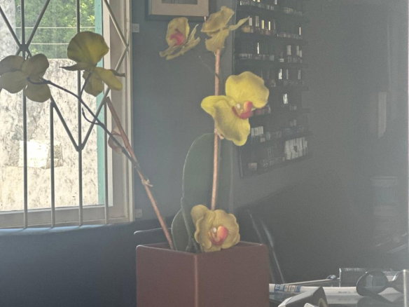 First image of Coconut Grove Complex oc in Ocho Rios, St. Ann, Jamaica - property is For Sale