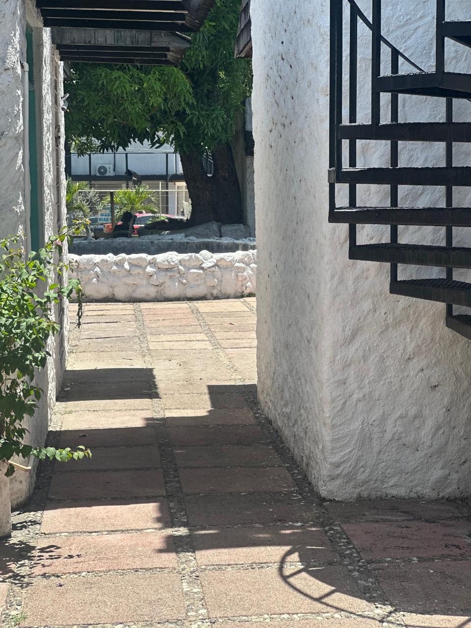Commercial-OfficeShop-Space-for-Sale-in-Coconut-Grove-Jamaica Seventh image of Coconut Grove Complex oc in Ocho Rios, St. Ann, Jamaica - property is For Sale