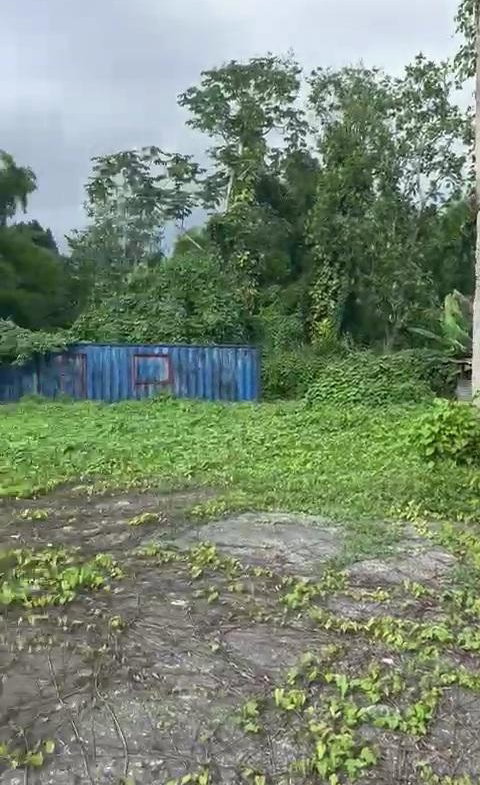 Fourth image of 2 And 3 King's Valley in Grange Hill, Westmoreland, Jamaica - property is For Sale