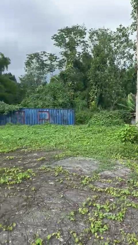 Fourth image of 2 And 3 King's Valley in Grange Hill, Westmoreland, Jamaica - property is For Sale