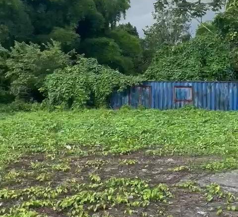 First image of 2 And 3 King's Valley in Grange Hill, Westmoreland, Jamaica - property is For Sale