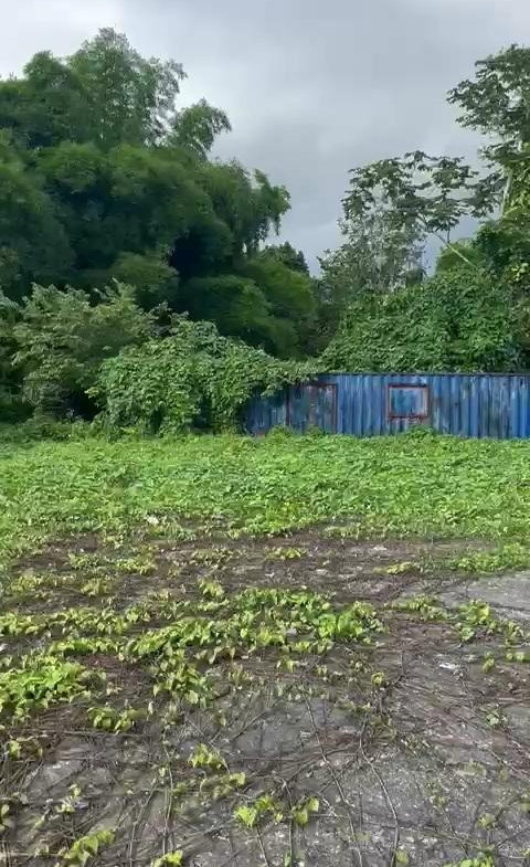 First image of 2 And 3 King's Valley in Grange Hill, Westmoreland, Jamaica - property is For Sale