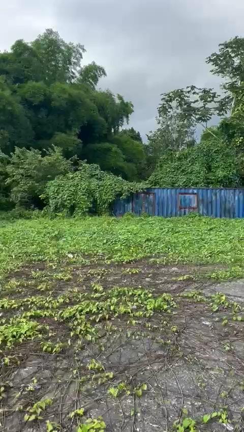 First image of 2 And 3 King's Valley in Grange Hill, Westmoreland, Jamaica - property is For Sale
