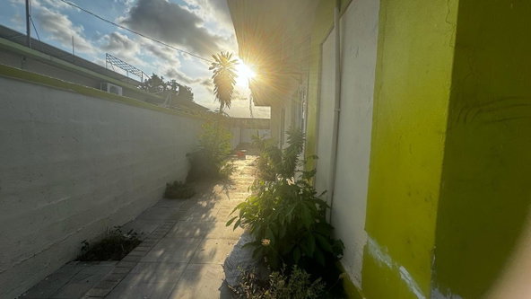 Seventh image of 1b Lindsay Crescent, Kingsto in Kingston 10, St. Andrew, Jamaica - property is For Rent