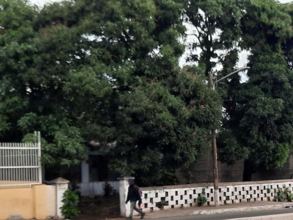 First image of 72 Constant Spring Road in Kingston 10, St. Andrew, Jamaica - property is For Sale