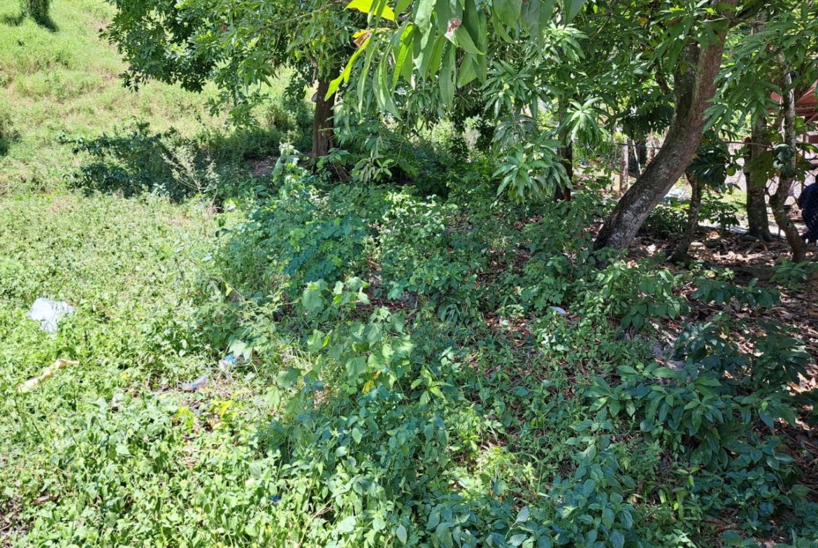Third image of Cressers Lane, Lucea, Han in Lucea, Hanover, Jamaica - property is For Sale
