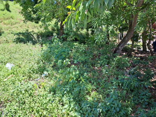 Third image of Cressers Lane, Lucea, Han in Lucea, Hanover, Jamaica - property is For Sale