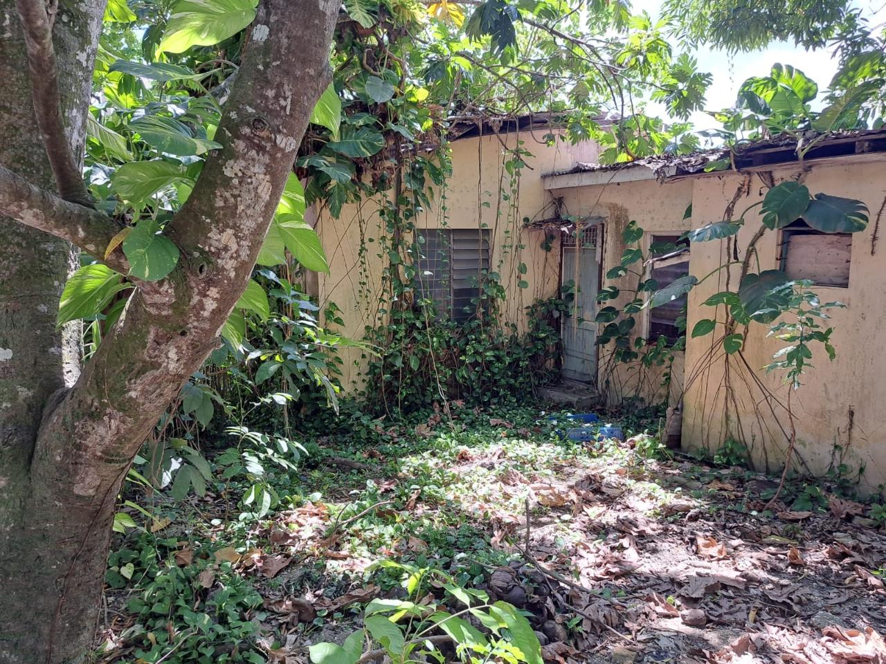 Commercial-Property-for-Sale-in-Lucea-Hanover-Great-Investment-Opportunity First image of Cressers Lane, Lucea, Han in Lucea, Hanover, Jamaica - property is For Sale