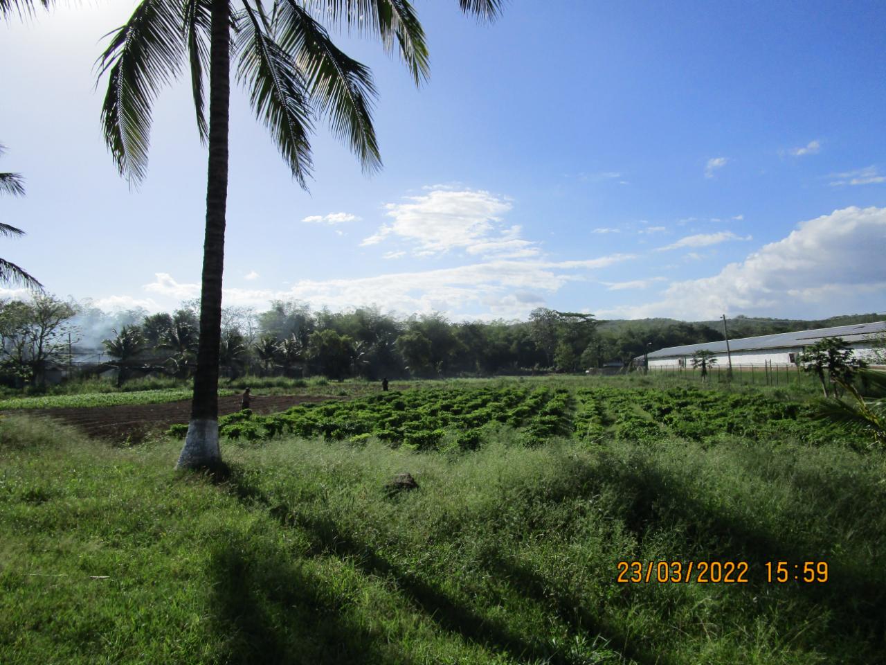 Sixth image of Part of West Prospect, Knollis, in Bog Walk, St. Catherine, Jamaica - property is For Sale