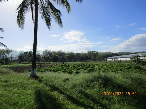 Sixth image of Part of West Prospect, Knollis, in Bog Walk, St. Catherine, Jamaica - property is For Sale