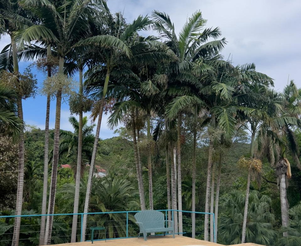 Twenty-Sixth image of Coral Hill Villa in Wentworth, St. Mary, Jamaica - property is For Rent