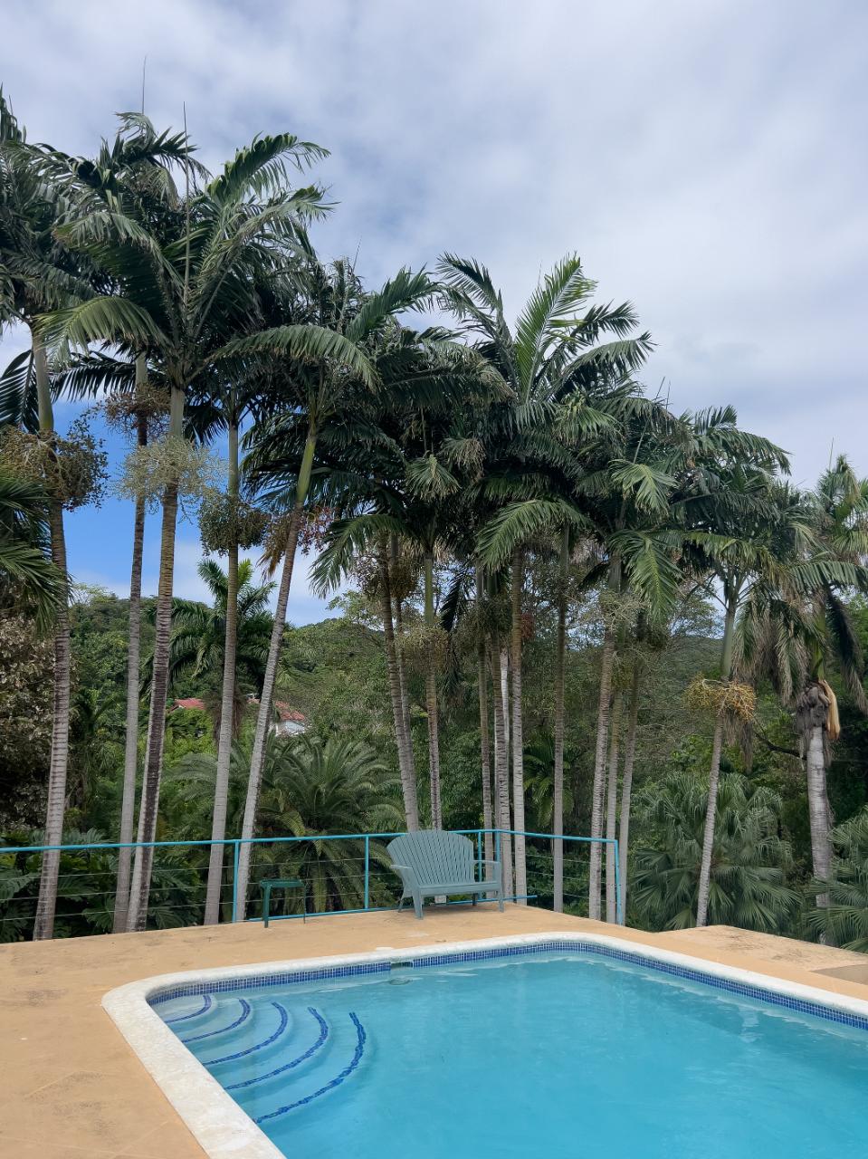 Twenty-Sixth image of Coral Hill Villa in Wentworth, St. Mary, Jamaica - property is For Rent