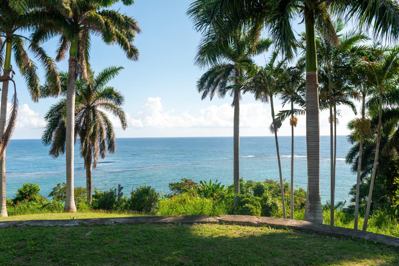 Twenty-Seventh image of Coral Hill Villa in Wentworth, St. Mary, Jamaica - property is For Rent