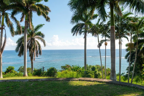 Twenty-Seventh image of Coral Hill Villa in Wentworth, St. Mary, Jamaica - property is For Rent