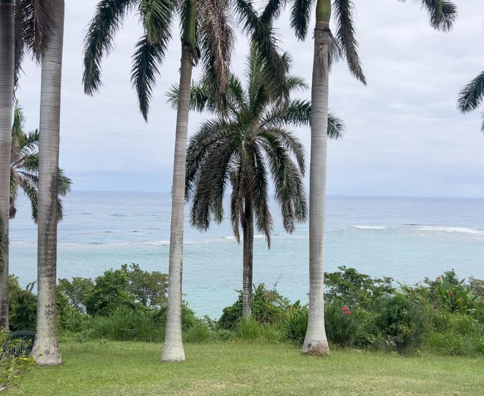 Sixth image of Coral Hill Villa in Wentworth, St. Mary, Jamaica - property is For Rent