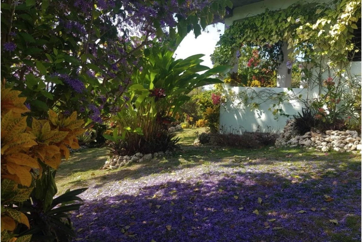 Eleventh image of Coyaba Wharf Road in Orange Bay, Hanover, Jamaica - property is For Sale