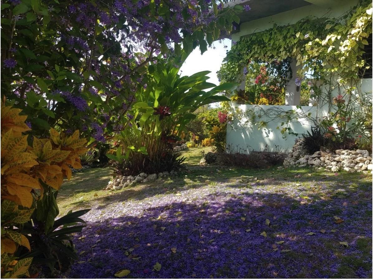 Eleventh image of Coyaba Wharf Road in Orange Bay, Hanover, Jamaica - property is For Sale