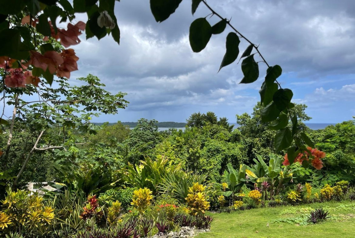 Fourth image of Coyaba Wharf Road in Orange Bay, Hanover, Jamaica - property is For Sale