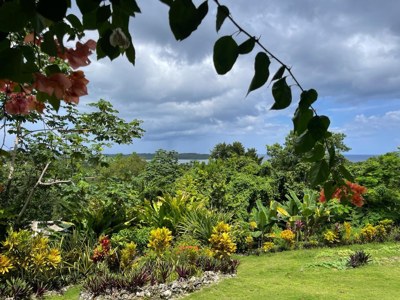 Fourth image of Coyaba Wharf Road in Orange Bay, Hanover, Jamaica - property is For Sale