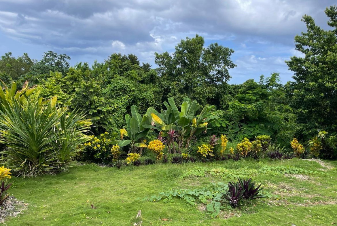 Fifth image of Coyaba Wharf Road in Orange Bay, Hanover, Jamaica - property is For Sale