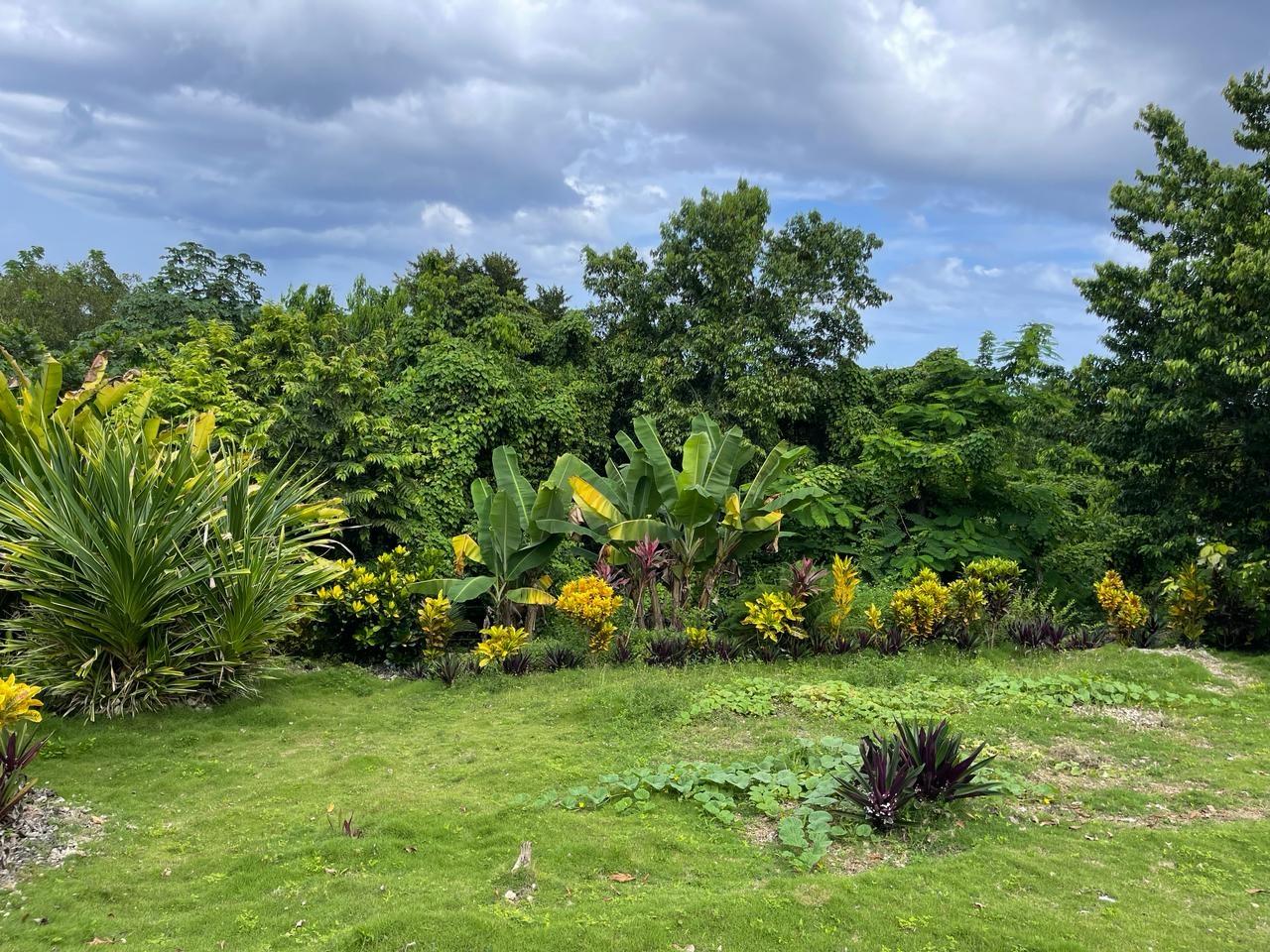 Fifth image of Coyaba Wharf Road in Orange Bay, Hanover, Jamaica - property is For Sale