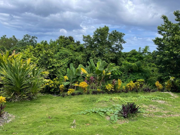 Fifth image of Coyaba Wharf Road in Orange Bay, Hanover, Jamaica - property is For Sale