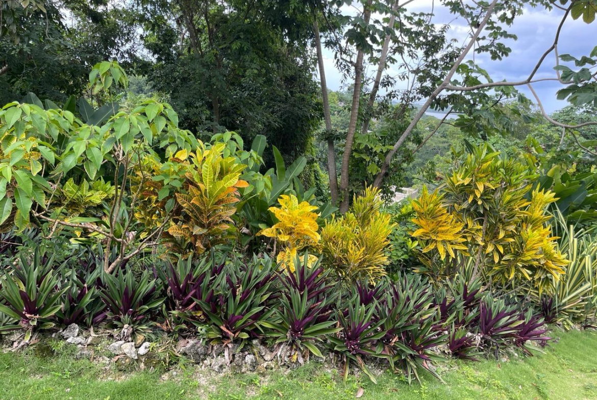 Sixth image of Coyaba Wharf Road in Orange Bay, Hanover, Jamaica - property is For Sale